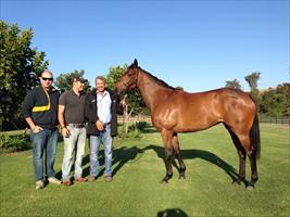 Hinnerk (Wild Oaks) with Daniel and Steve Allam and their filly Lorna May